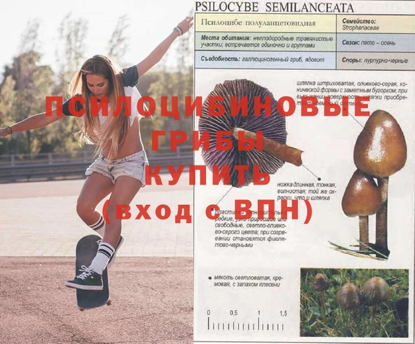 твердый Волосово